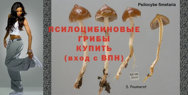 индика Алексеевка