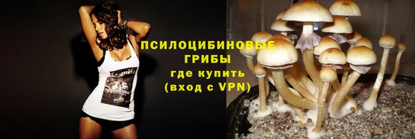 индика Алексеевка