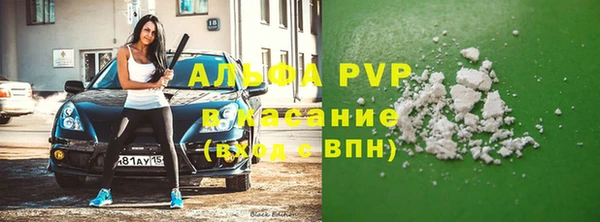 индика Алексеевка