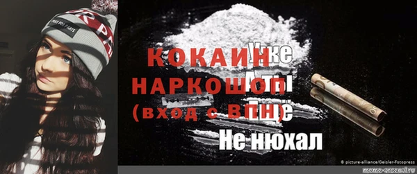 гидра Няндома