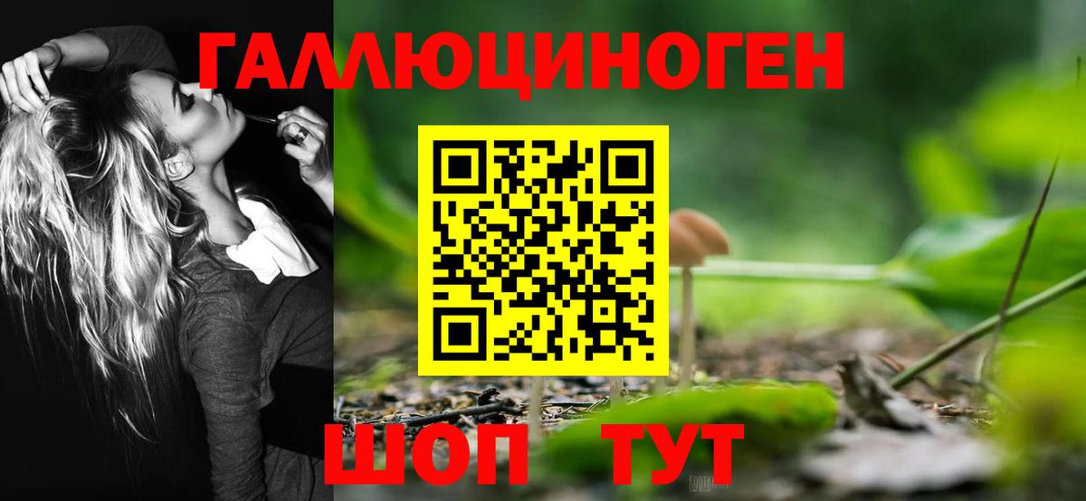 Галлюциногенные грибы GOLDEN TEACHER  Вход с VPN  Галлюциногенные грибы GOLDEN TEACHER  Миасс 